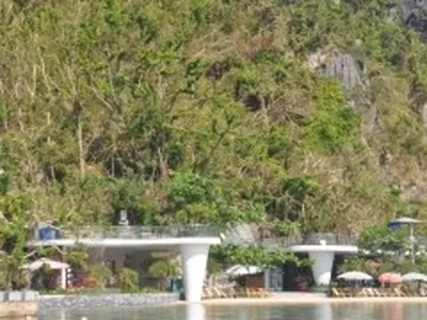 Khôi phục màu xanh cảnh quan các di sản