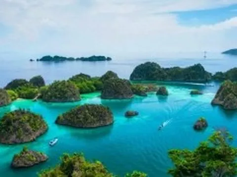 Indonesia sẽ đưa tín chỉ carbon rừng lên sàn giao dịch