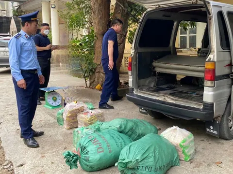 Phát hiện, xử lý 4.100 đơn vị sản phẩm là thực phẩm nhập lậu