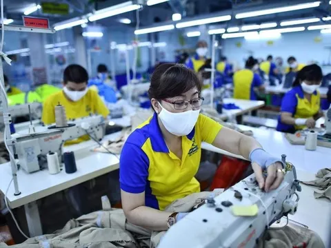 Doanh nghiệp Việt tận dụng "thời gian vàng" để xuất khẩu