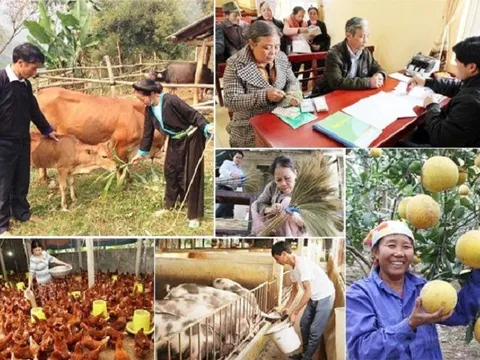 Đẩy mạnh thực hiện các chính sách giảm nghèo bền vững, nhân Ngày vì người nghèo Việt Nam